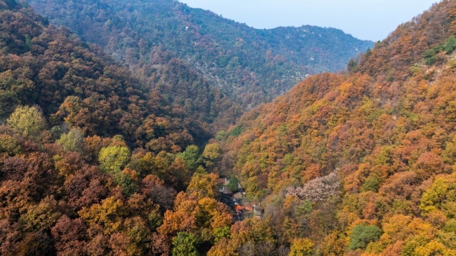 “瞰見秦嶺 詩畫終南”媒體景區(qū)行活動 邂逅南五臺秋韻